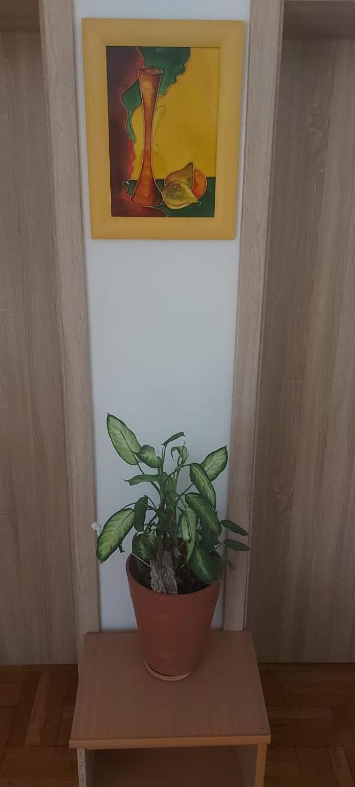 Hostel Poznań Esterno foto